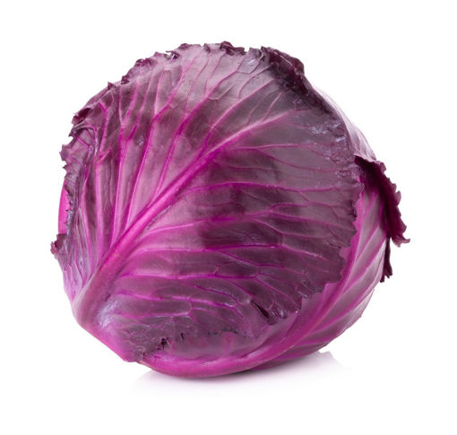 Picture of Cabbage Red - Each