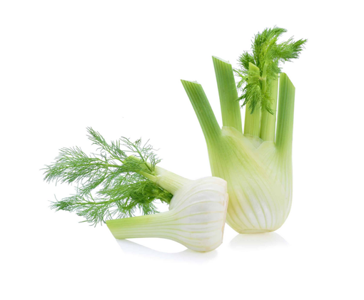 Picture of Fennel Bulb - Sleeve