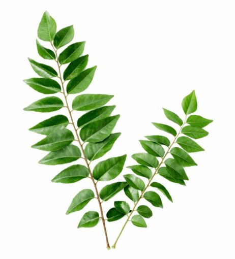 Picture of Curry Leaf - 30g