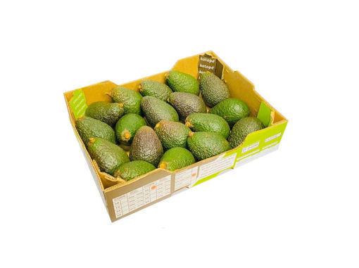 Picture of Avocado - Box (HASS)