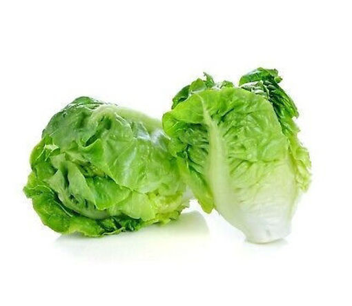Picture of Baby Gem Lettuce - Packet
