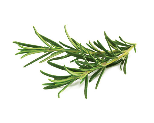 Picture of Rosemary - Per kg