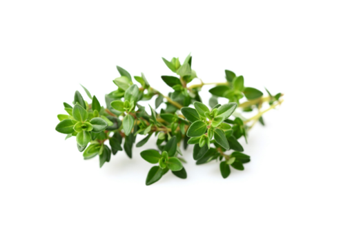 Picture of Thyme - Per kg